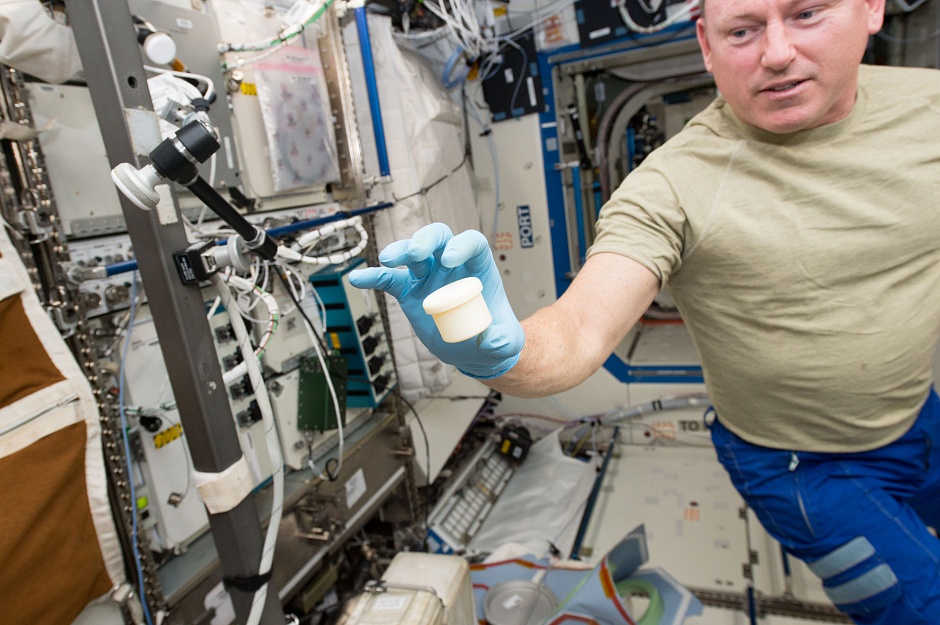 Результаты первого в мире эксперимента по печати живых тканей в космосе