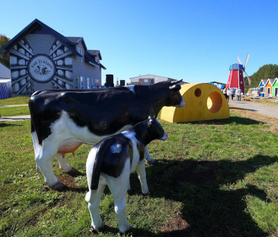 Томские производители сыра создали "голландский" арт-объект для путешественников