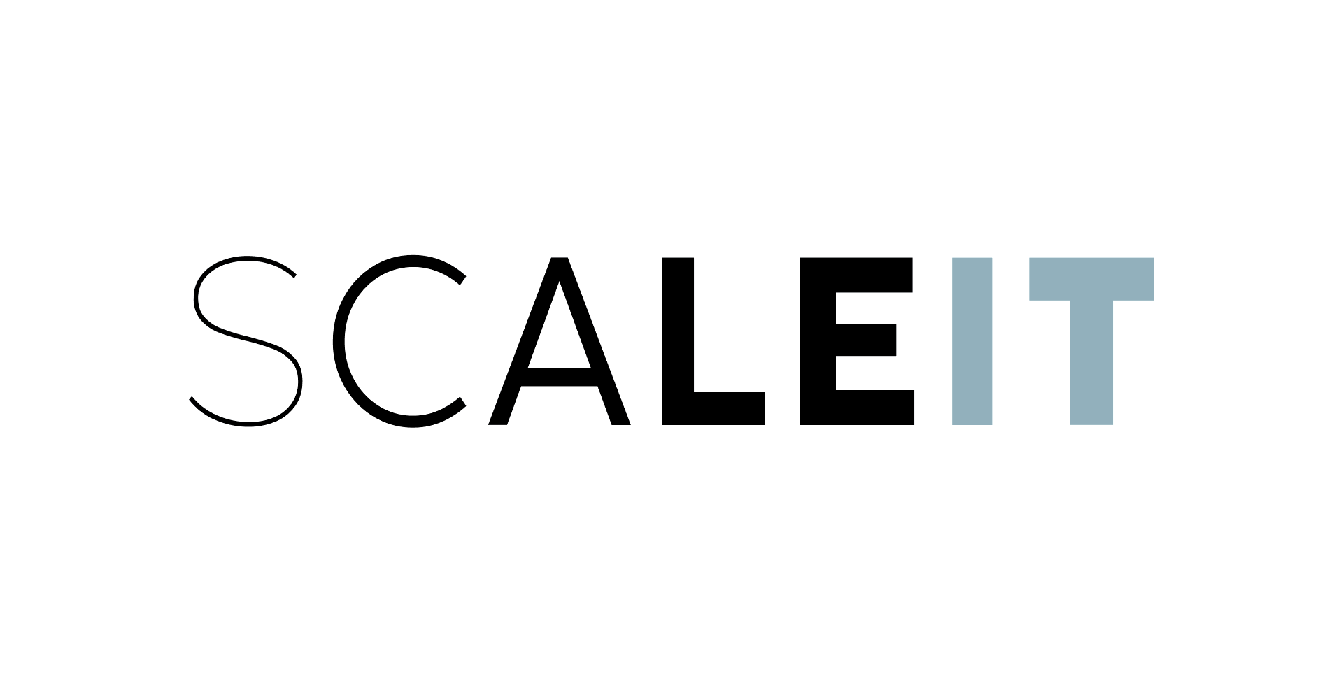 SCALE IT